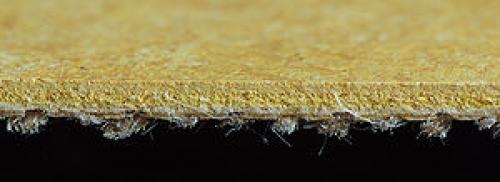 Разрешить линолеум на полу в квартире: плюсы и минусы 01 Разрешить линолеум на полу в квартире: плюсы и минусы 01