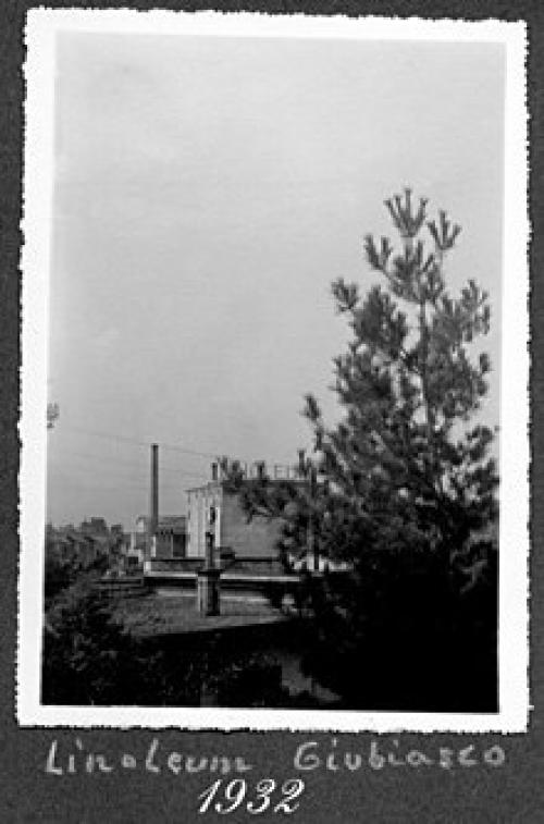 Разрешить линолеум на полу в квартире: плюсы и минусы 02 Разрешить линолеум на полу в квартире: плюсы и минусы 02