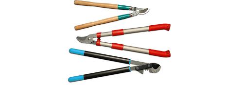 Поводы для стрижки деревьев: основные принципы и правила 06