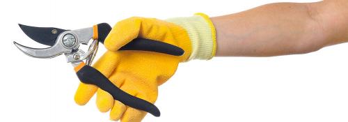 Поводы для стрижки деревьев: основные принципы и правила 02