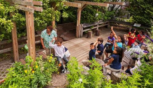 Улучшите свой сад: как сделать красивую тропинку 10