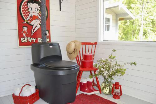 Туалет на даче варианты. Посиди, подумай! Как построить отличный дачный туалет?