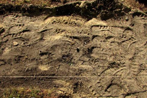 Технология и основные этапы укладки тротуарной плитки на песок. Вариант 1: на песчаной основе