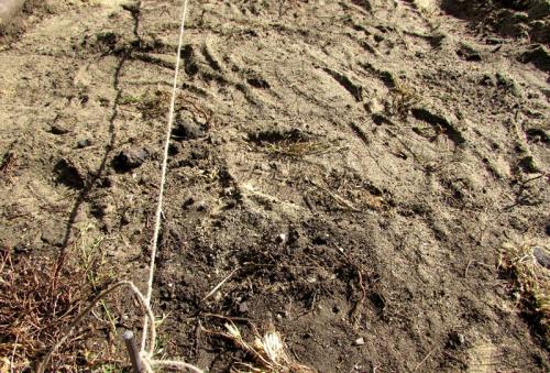 Технология и основные этапы укладки тротуарной плитки на песок. Вариант 1: на песчаной основе