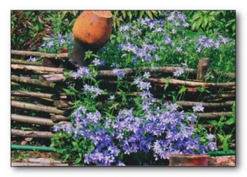 Дешевый забор своими руками 5 лучших вариантов. Дешевый забор своими руками 05