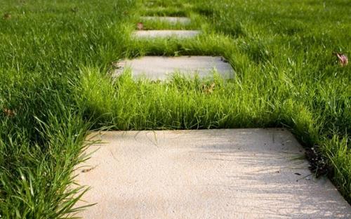 Бетонные дорожки на участке. Как сделать бетонные дорожки на даче своими руками