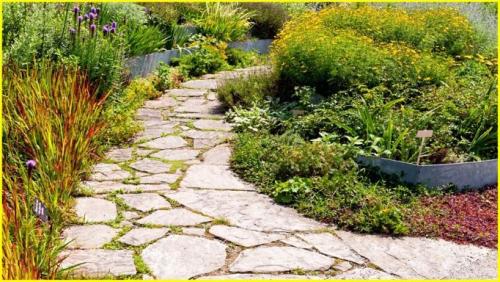 Дорожки на даче женскими руками. Садовые дорожки на даче своими руками: как правильно делать