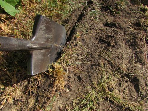 Укладка тротуарной плитки 50х50 своими руками. Как уложить самодельную тротуарную плитку на даче: пошаговая инструкция